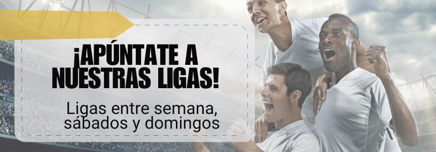 NUESTRAS LIGAS